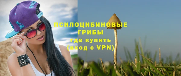 круглые Вязьма