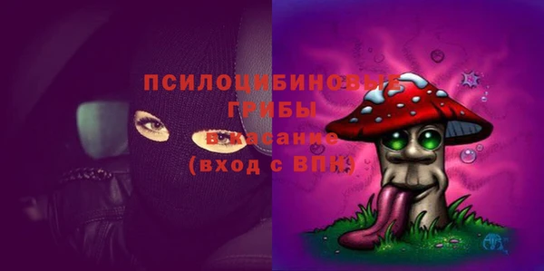 круглые Вязьма
