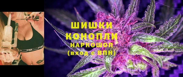 шишки Вяземский