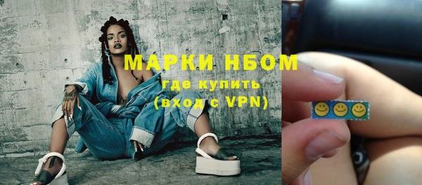 шишки Вяземский
