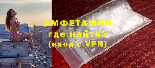 шишки Вяземский